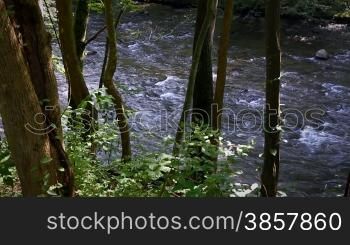 Scenic river through the forest in the Smokey Mountains