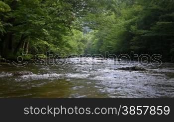 Scenic river through the forest in the Smokey Mountains, shot from the water in the middle of the river