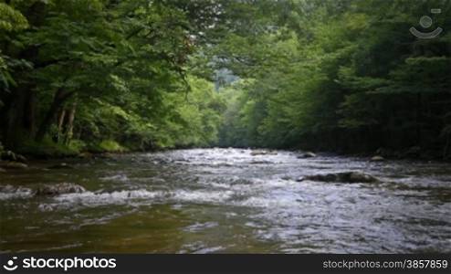 Scenic river through the forest in the Smokey Mountains, shot from the water in the middle of the river