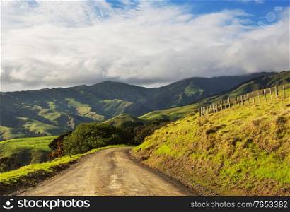 Scenic Road among green hills in New Zealand.