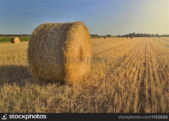 scenic rural landscape with a haybale in a field at sunset