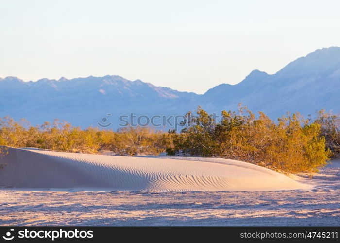 Scenic sand dunes in desert