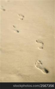 Scenic sandy coastline with footprints.