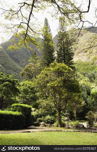 Scenic shot of Iao Valley State Park in Maui, Hawaii.