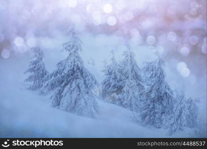 Scenic snow-covered forest in winter