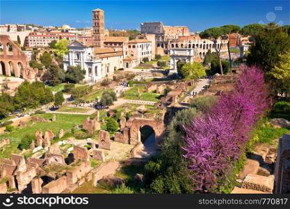 Scenic springtime view over the ruins of the Roman Forum in Rome, capital of Italy