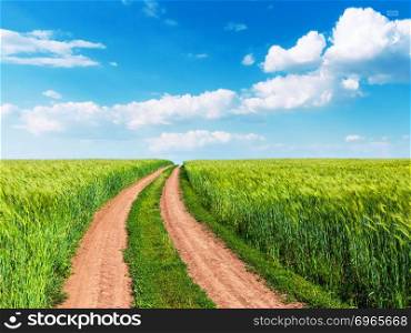 Scenic summer landscape background view of green rural cultivated wheat farm field, winding road and blue sunny sky with clouds