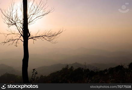 Scenic sunset at the mountain. Nature background.