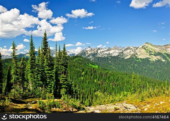 Scenic view from Mount Revelstoke of rocky mountains in British Columbia, Canada