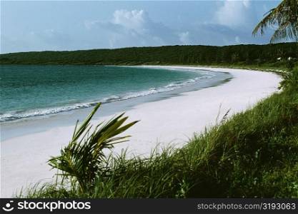Scenic view of a beach at Cotton Bay Resort, Eleuthera, Bahamas