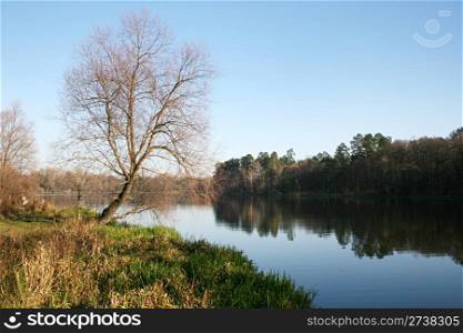 Scenic view of a lake in autumn in early morning
