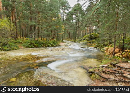 Scenic view of a river in the forest in Boca del Asno natural park on a rainy day in Segovia, Spain.