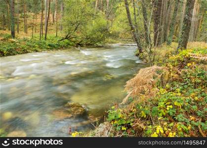 Scenic view of a river in the forest in Boca del Asno natural park on a rainy day in Segovia, Spain.