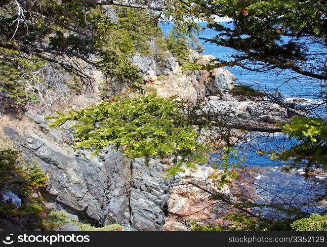 Scenic view of Acadia National Park, Atlantic Coast of Maine.