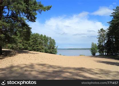 scenic view of an empty beach on the lake among pines trees