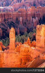 Scenic View of Bryce Canyon