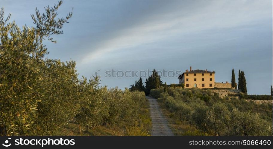 Scenic view of dirt road and house in village, Tuscany, Italy