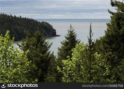 Scenic view of Fundy National Park on the Bay of Fundy, New Brunswick, Canada