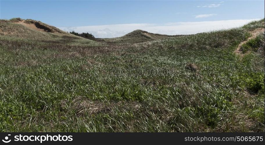 Scenic view of grassy hills, Green Gables, Cavendish, Prince Edward Island National Park, Prince Edward Island, Canada