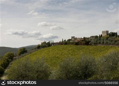 Scenic view of houses in village with vineyard, Chianti, Tuscany, Italy