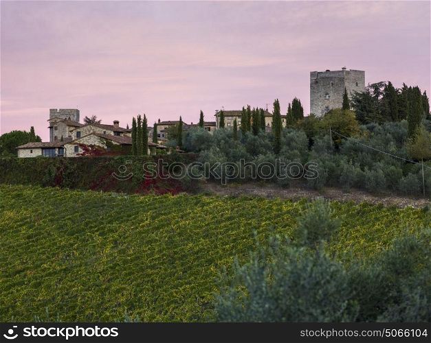 Scenic view of houses in village with vineyard, Tuscany, Italy