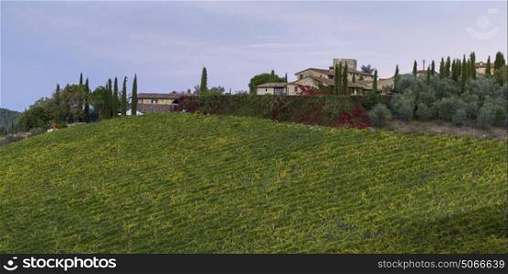Scenic view of houses in village with vineyard, Tuscany, Italy