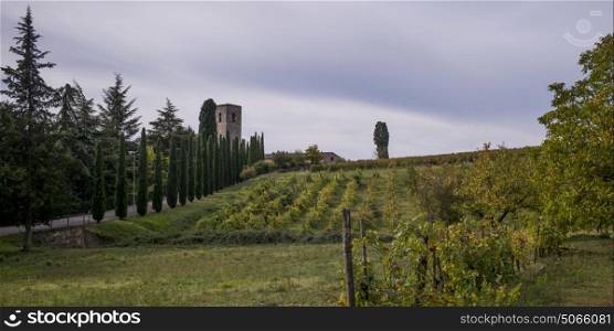 Scenic view of houses in village with vineyards, Chianti, Tuscany, Italy