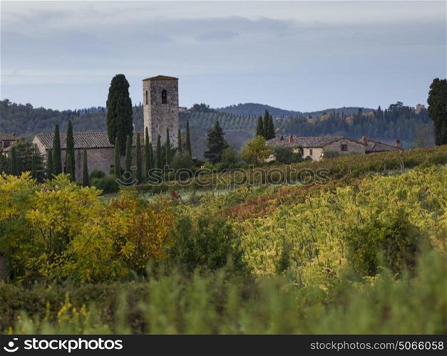 Scenic view of houses in village with vineyards, Tuscany, Italy