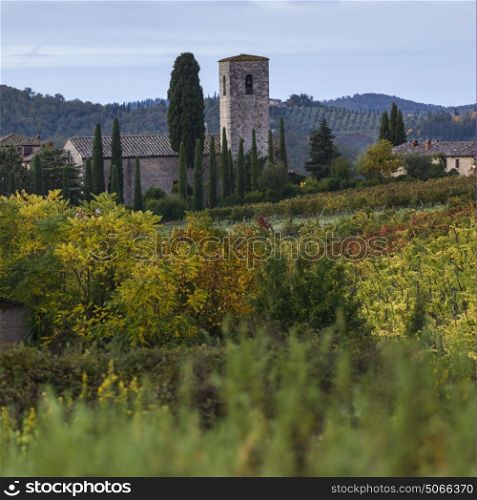 Scenic view of houses in village with vineyards, Tuscany, Italy