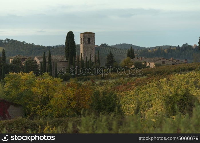 Scenic view of houses in village with vineyards, Tuscany, Italy