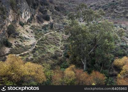 Scenic view of landscape, Nahal Ayoun Nature Reserve, Metula, Northern District, Israel