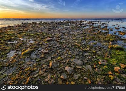 Scenic view of many stones with algae at the seashore.