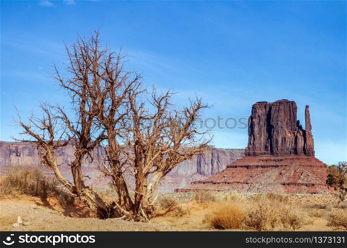 Scenic View of Monument Valley Utah USA