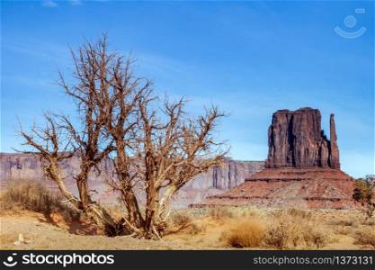 Scenic View of Monument Valley Utah USA