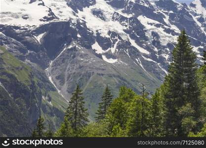 Scenic view of mountains and pine tree in Switzerland