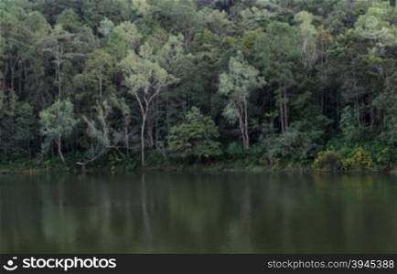 Scenic view of pine tree with lake in the evening at Pang Oung national park in Mae Hong Son, Thailand