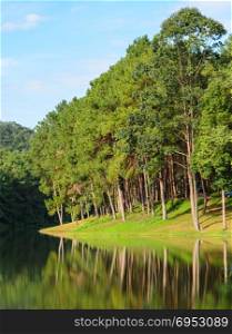 Scenic view of pine tree with lake. Pang Oung, a serene lake in a valley with surrounded by mountain ranges in Mae Hong Son, Thailand