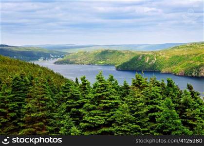 Scenic view of Placentia bay in Newfoundland, Canada