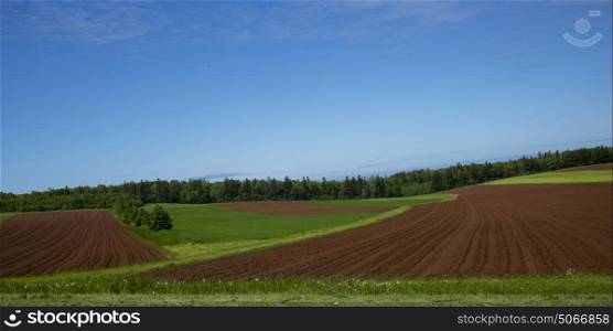 Scenic view of ploughed field, Breadalbane, Prince Edward Island, Canada