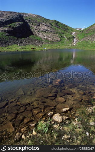 Scenic view of River