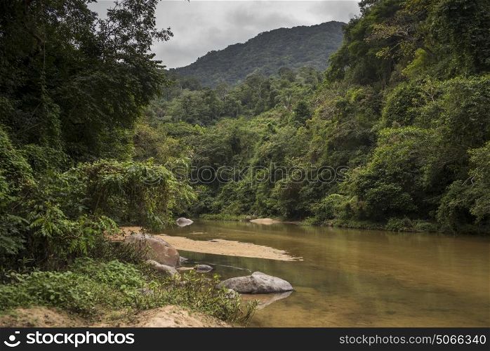 Scenic view of river flowing in forest, Yelapa, Jalisco, Mexico