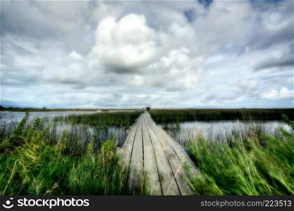 Scenic view of Saskatchewan marshes