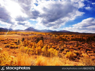 Scenic view of Sierra Nevada Mountain. fall foliage landscape. California,USA.