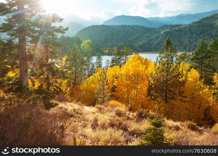 Scenic view of Sierra Nevada Mountain. fall foliage landscape. California,USA.