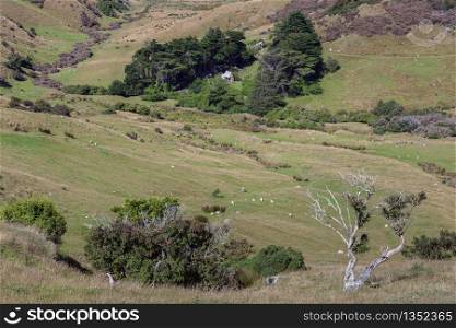 Scenic view of the countryside in the Otago Peninsula