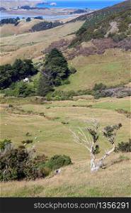 Scenic view of the countryside in the Otago Peninsula