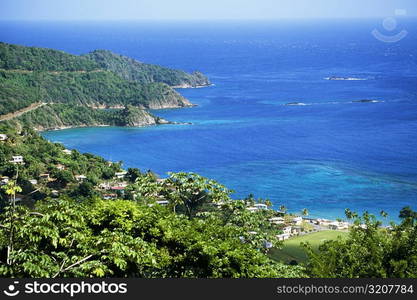 Scenic view of the island of Tobago on a sunny day, Caribbean