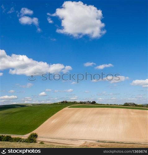 Scenic View of the Rolling Sussex Countryside