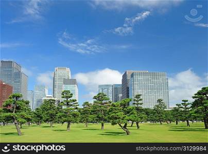 Scenic view of Tokyo, buildings near imperial palace