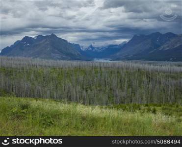 Scenic view of trees on landscape with mountain range in the background, Going-to-the-Sun Road, Glacier National Park, Glacier County, Montana, USA